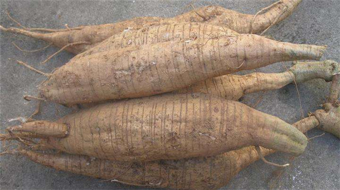 image001.jpg image001.jpg