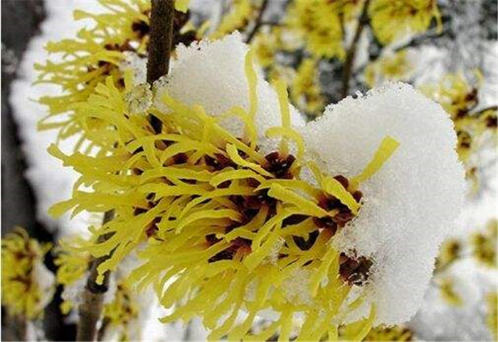 image001_副本.jpg image001_副本.jpg