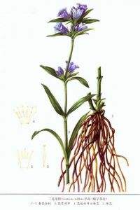 image013.jpg image013.jpg